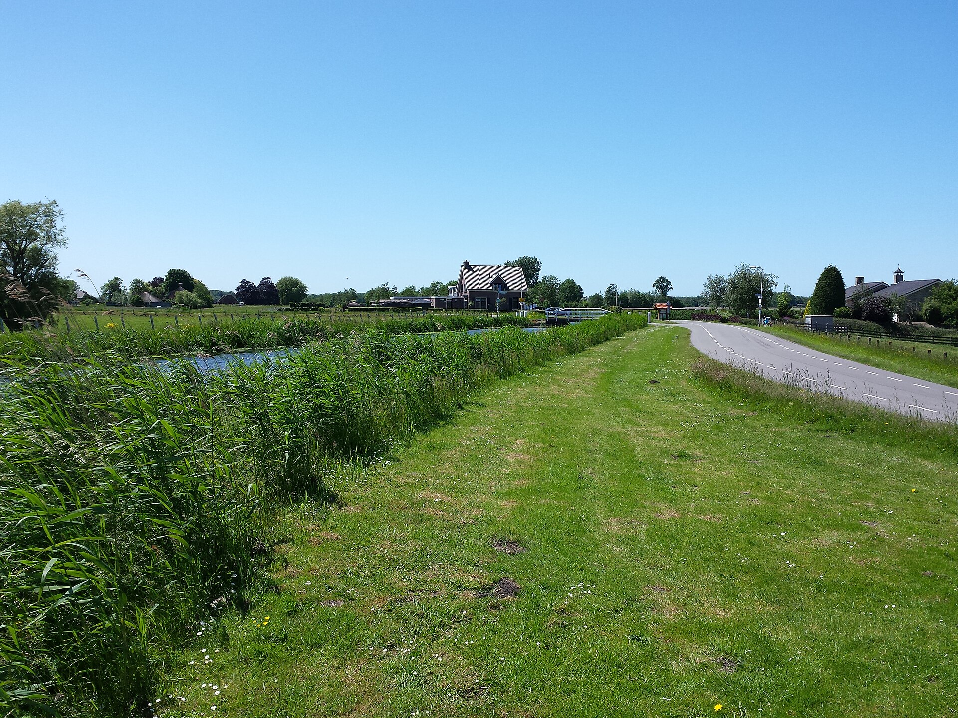 Lokale omgeving van Ter Aar als lokaal beeld bij website laten maken Ter Aar