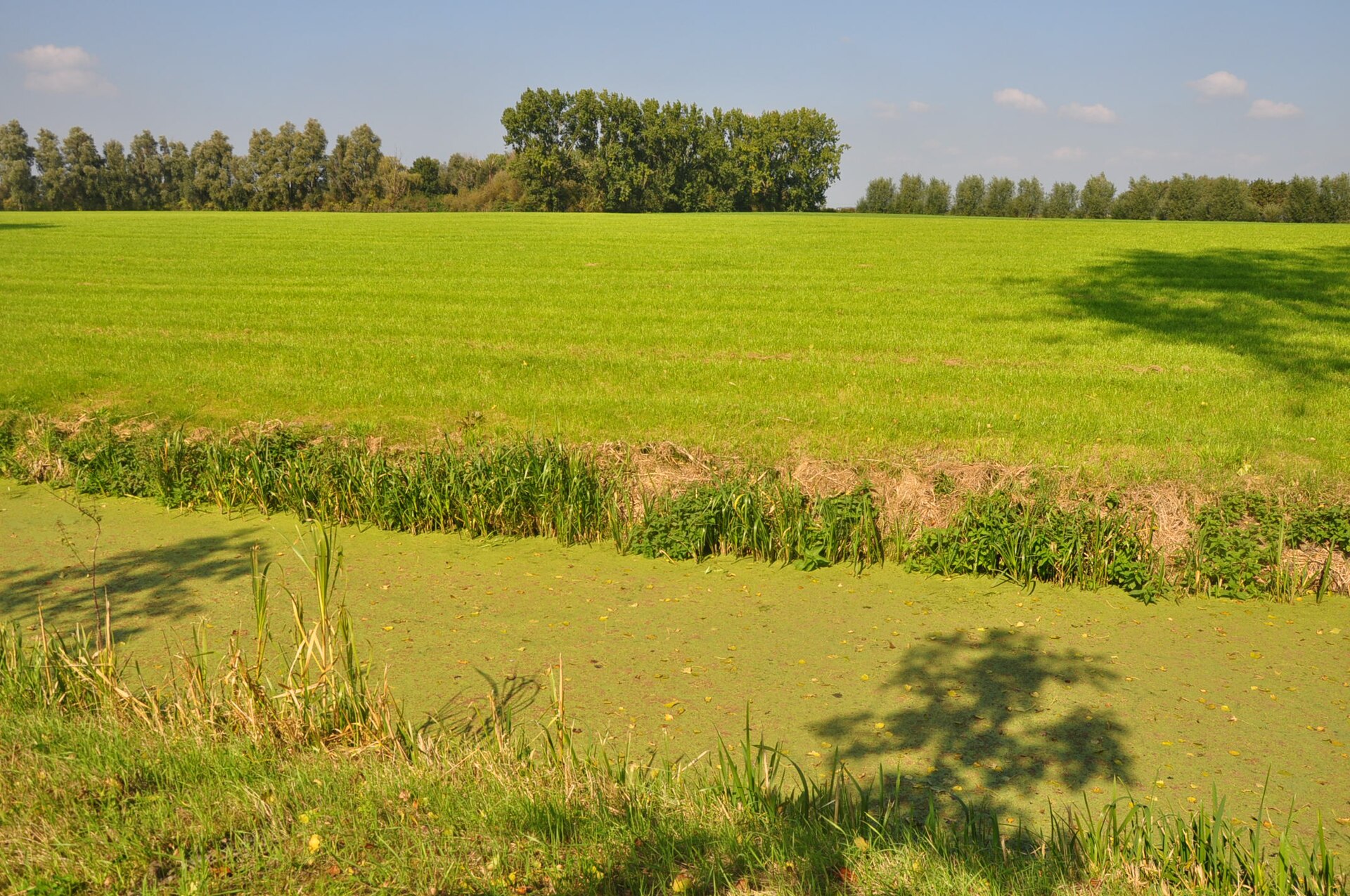 Website laten maken Zoetermeer – lokale omgeving Lokale omgeving van Zoetermeer als lokaal beeld bij website laten maken Zoetermeer