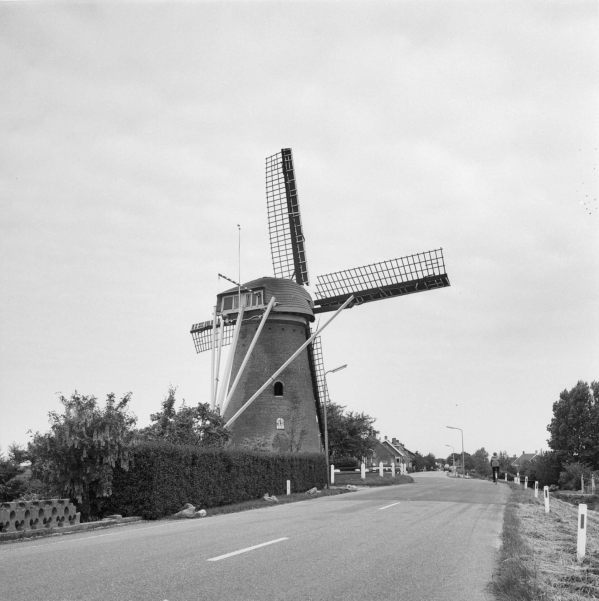 Ondernemen in Zuid-Beijerland als lokaal beeld bij Top 5 webdesigners Zuid-Beijerland